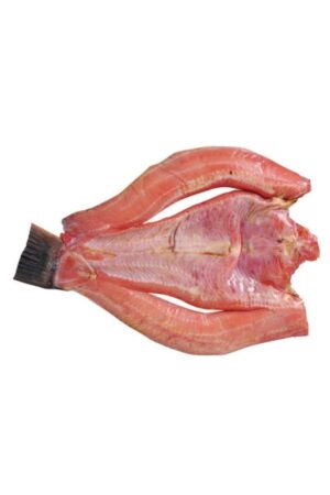 Frozen Dried Snake Head Fish </br></br><span id= "product"> 1 x 33 lbs </br> FF002 </br> White Swan</span>