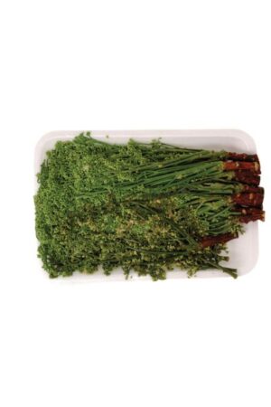 Frozen Sadao </br></br><span id= "product"> 40 x 8 oz </br> FL018 </br> White Swan</span>