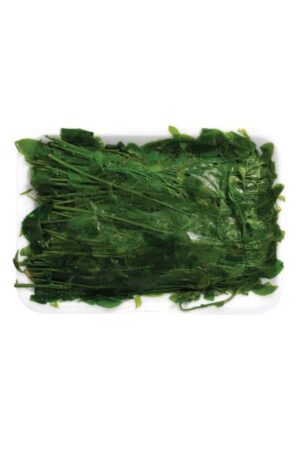 Frozen Pak Wan </br></br><span id= "product"> 35 x 8 oz </br> FV009 </br> White Swan</span>